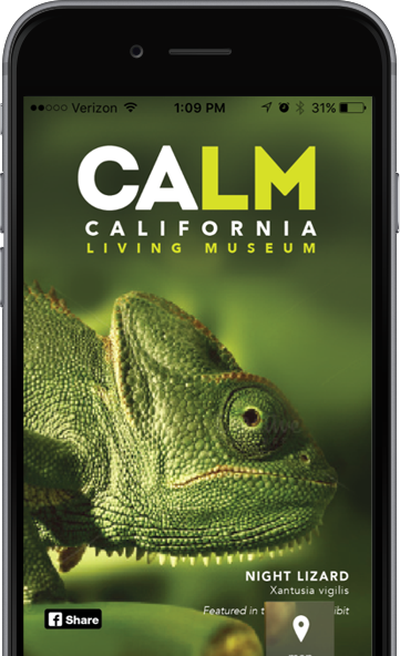 Explore CALM Zoo with our app