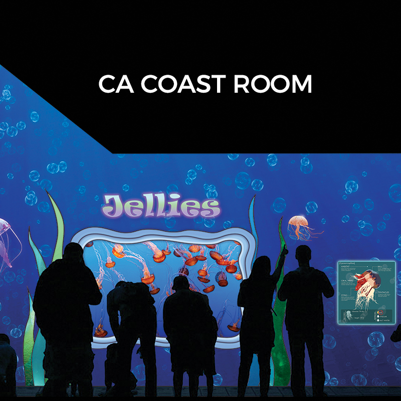 California Coast Room