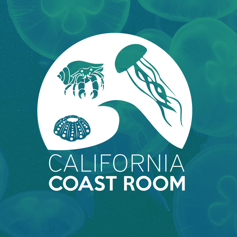 Experiences CALM Zoo