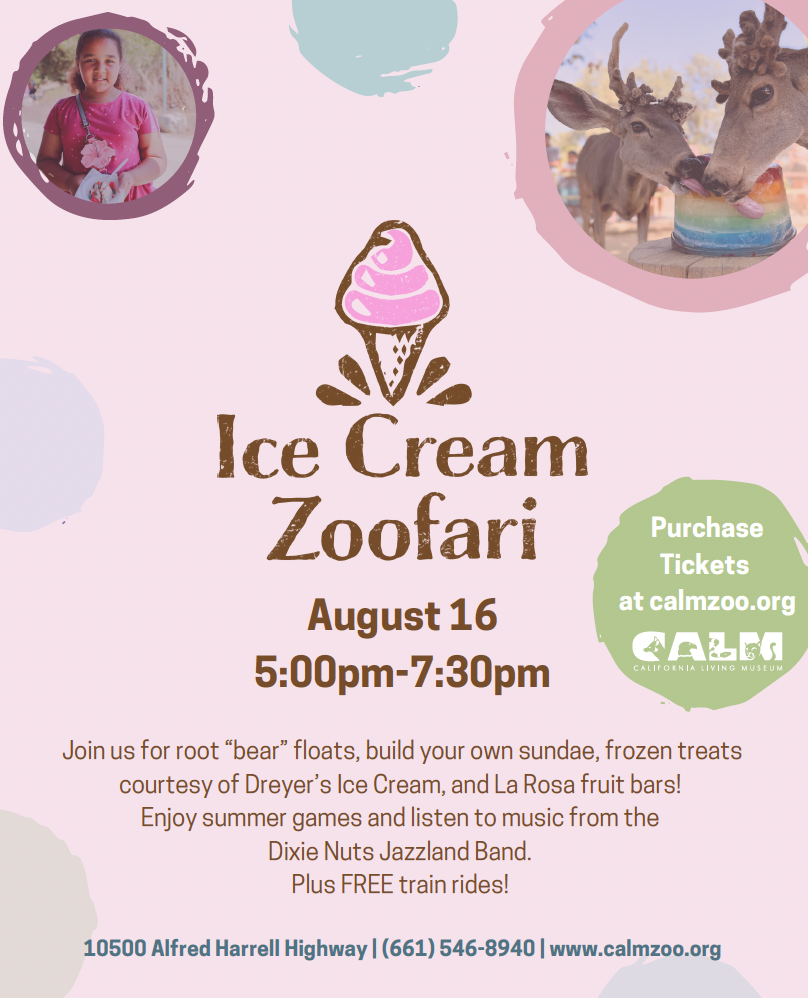 Ice Cream Zoofari