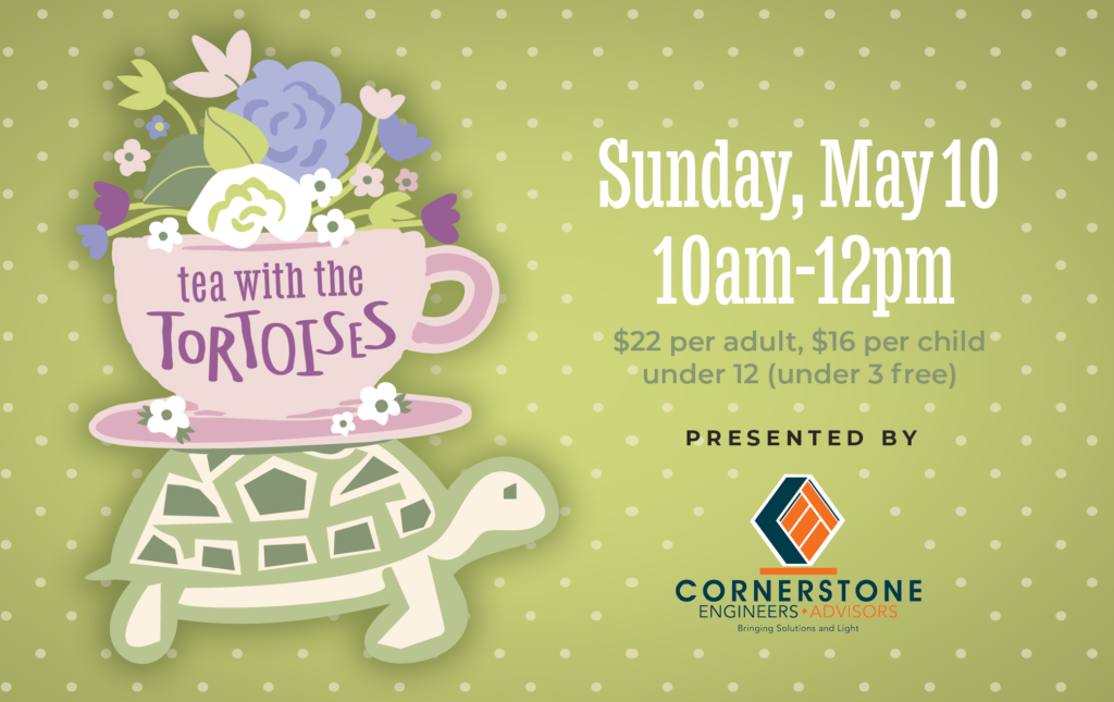 Tea with the Tortoises