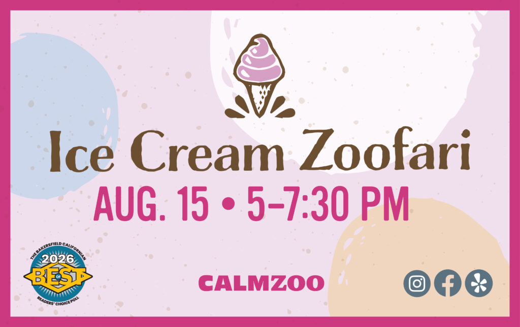 Ice Cream Zoofari
