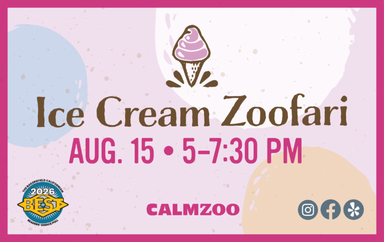 Ice Cream Zoofari