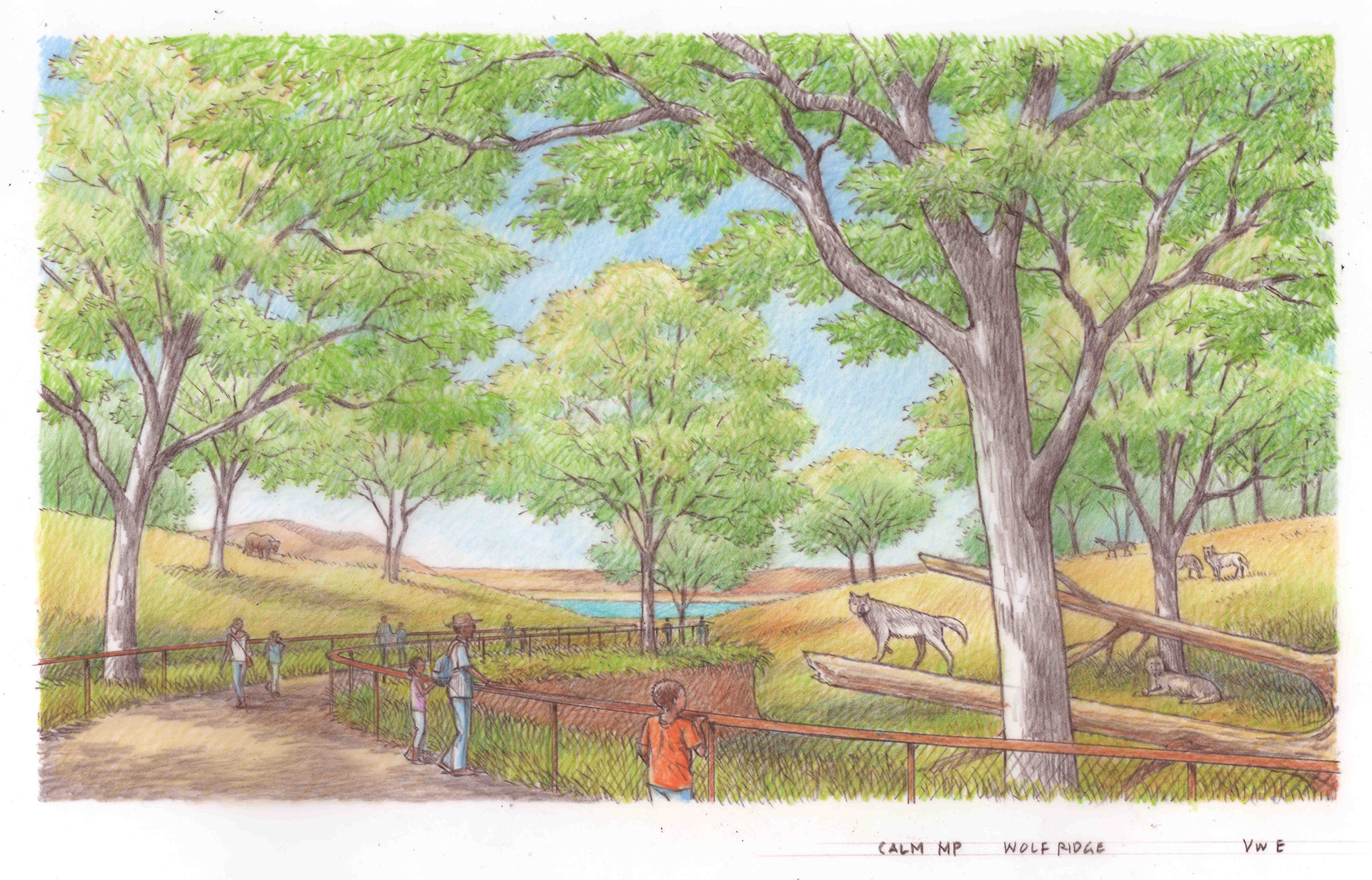 Wolf Ridge Rendering